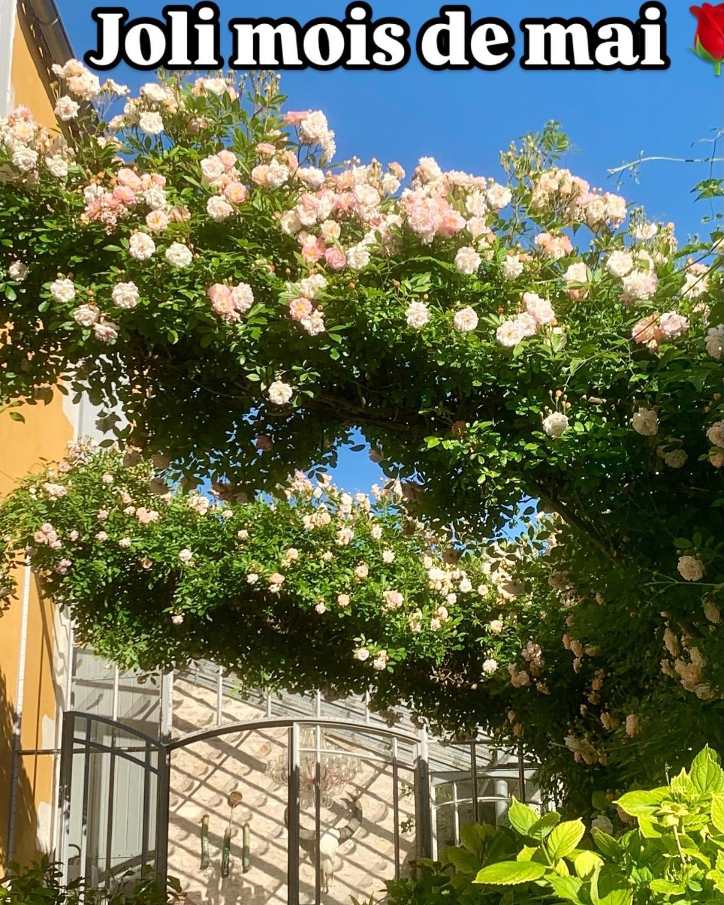 Chambres D'Hotes La Borderie Du Go Pres De La Rochelle - Nieul Екстер'єр фото
